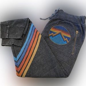 AVIATOR NATION Charcoal Sweatpants with Zip Pockets, Large (fits like a medium)